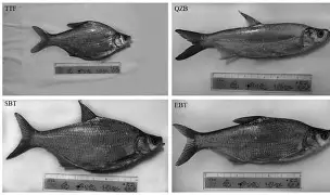 南宫28官网-S%wM鳊谨爿
